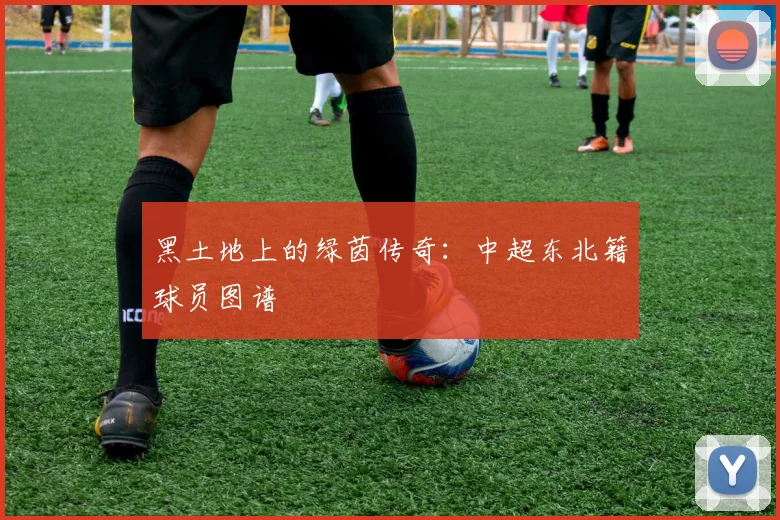 黑土地上的绿茵传奇：中超东北籍球员图谱